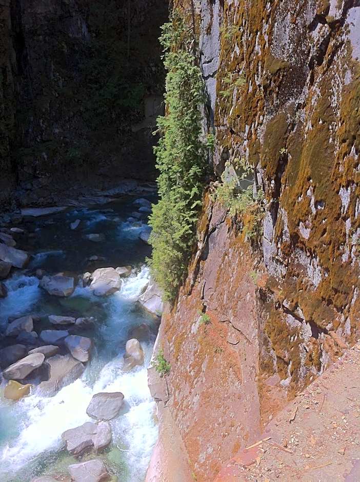 Evergreen Bed & Breakfast