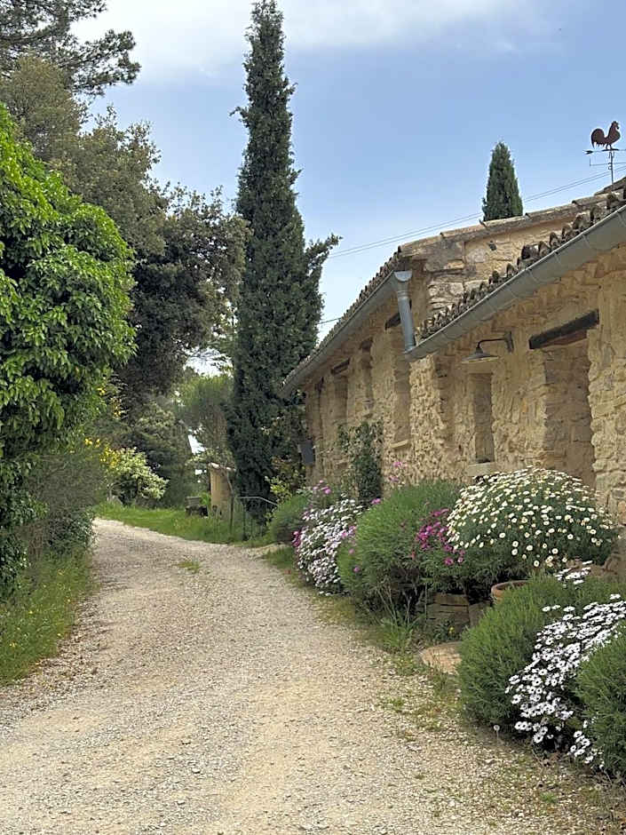 Le Degoutaud