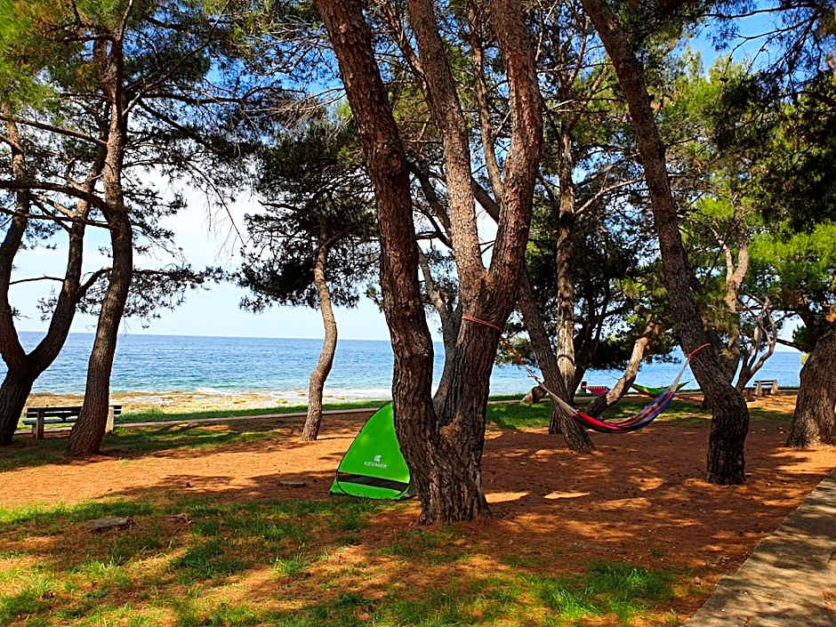 Family Bungalow Pineta