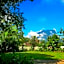 Chiang Dao Reset