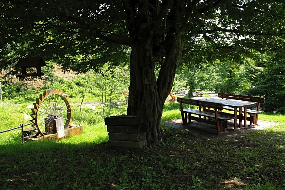 Bosco delle Rune ..un angolo di paradiso
