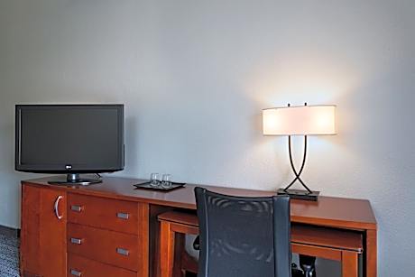 One-Bedroom King Suite