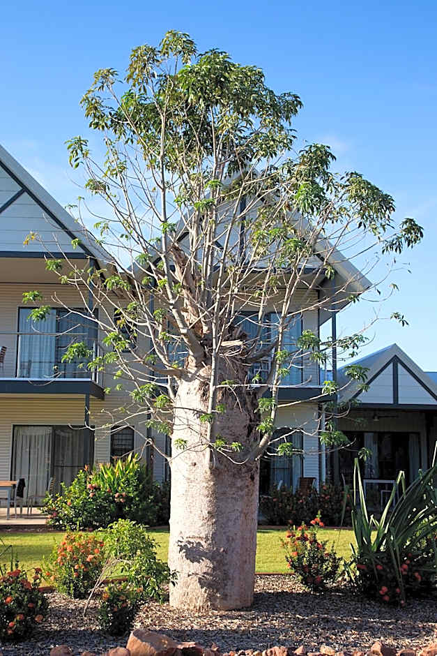 Freshwater East Kimberley Apartments