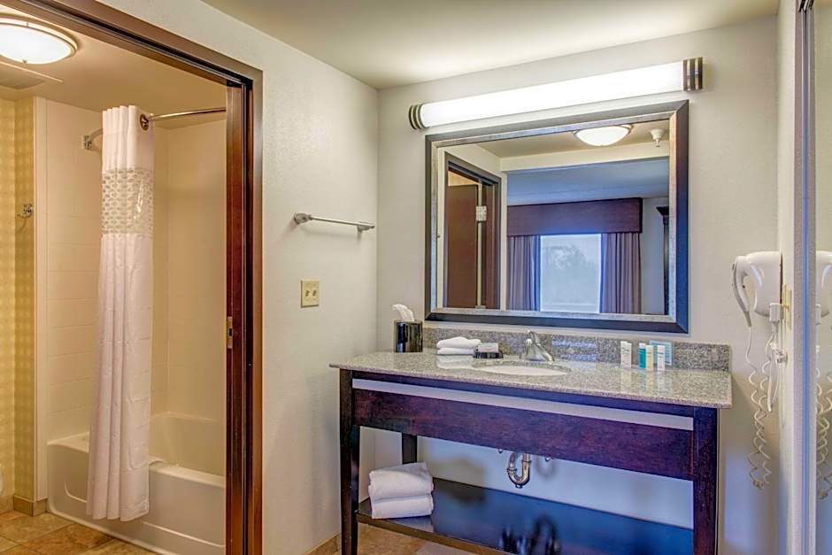 Hampton Inn By Hilton And Suites Detroit/Airport-Romulus