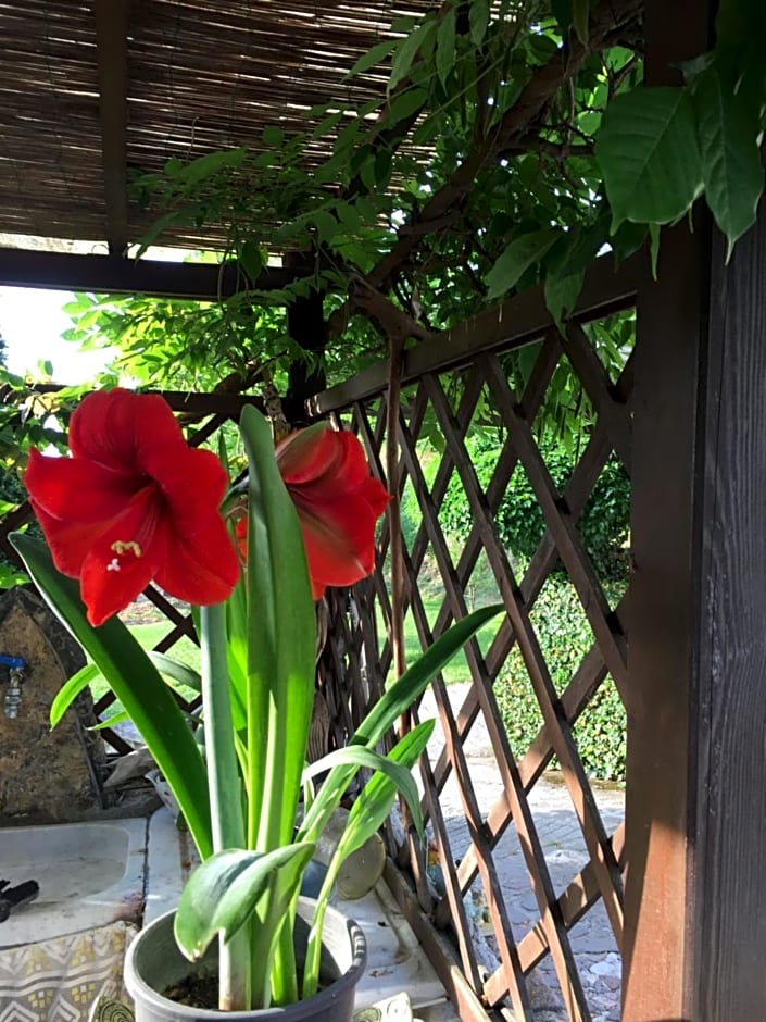 Il Ghiro B&B
