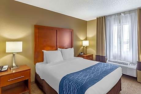 1 Queen Bed, Nonsmoking, Accessible