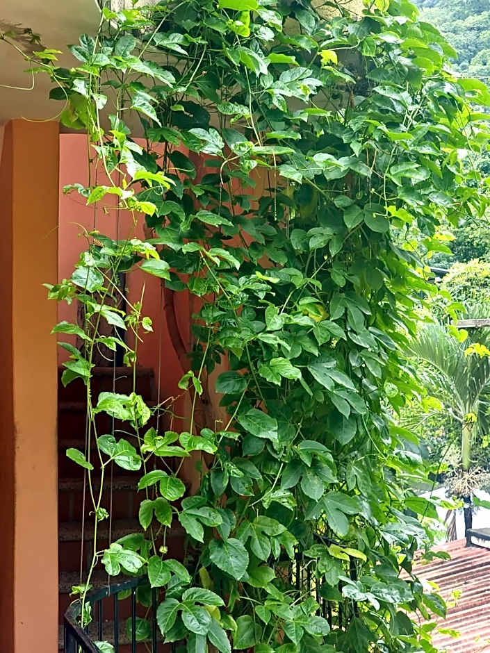 La Posada Pacifica