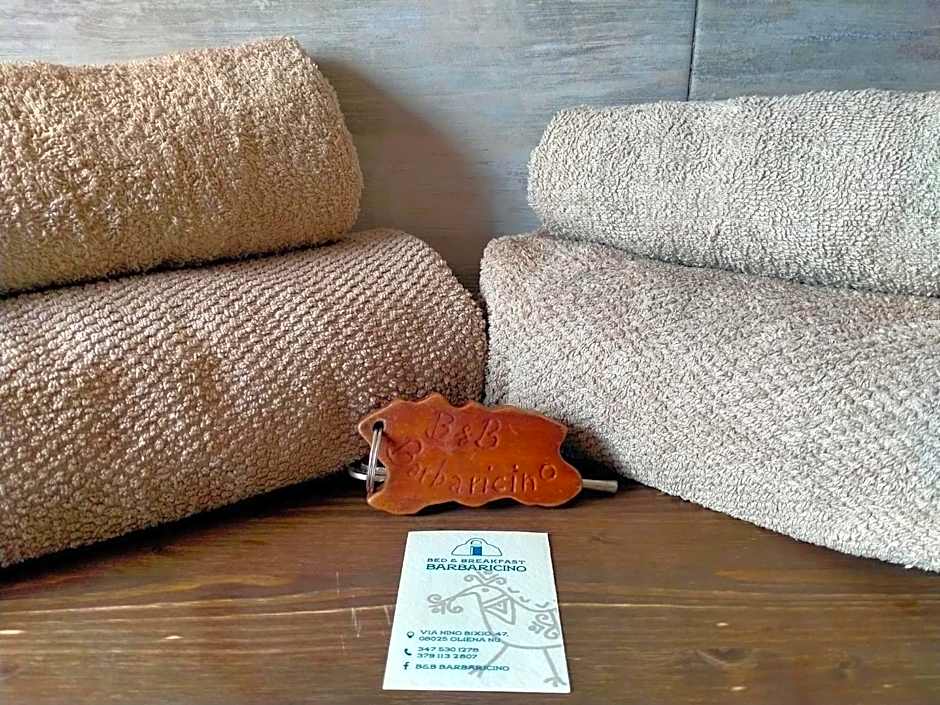 B&b barbaricino iun F1442