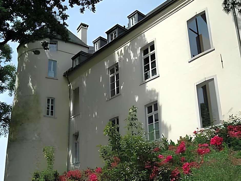 Burg Boetzelaer