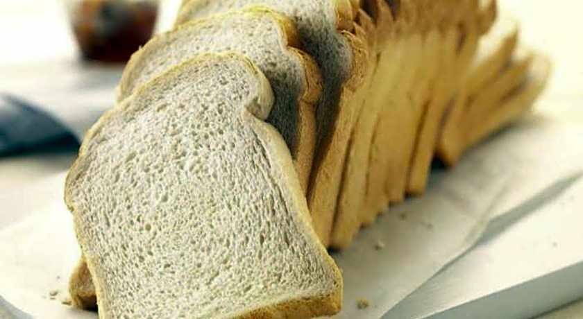 The Lively Hotel Kualanamu Airport Medan