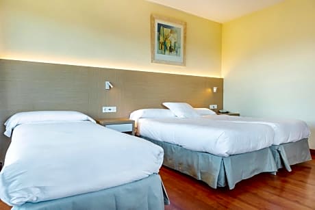 Triple Room with Terrace