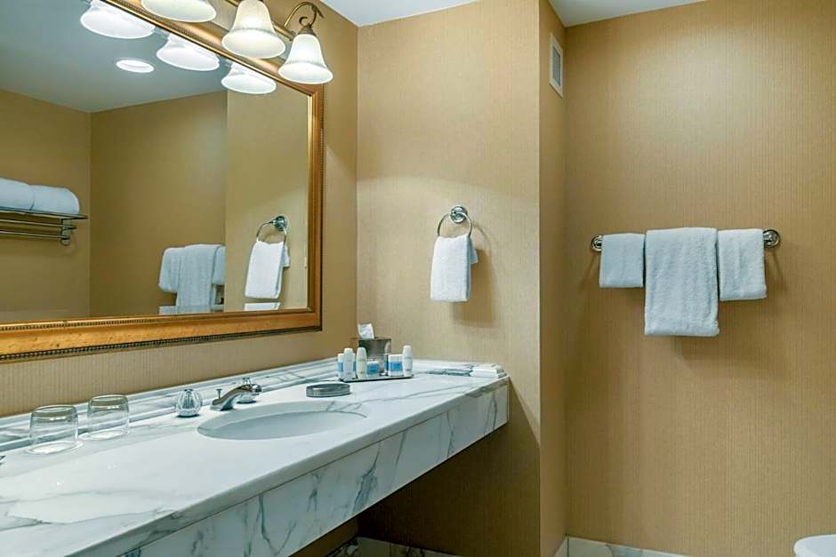 Omni Las Colinas Hotel