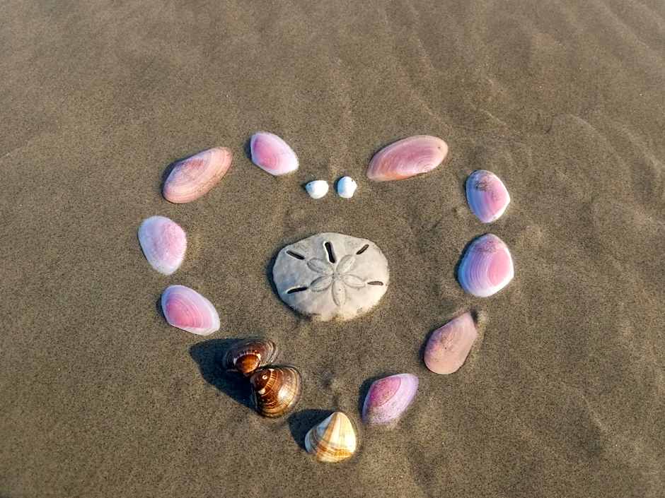 Prédio com piscina na cobertura frente ao mar, apartamento para até 6 pessoas e 3 crianças até 8 anos, churrasqueira na sacada, Wi-Fi grátis, NÃO oferecemos roupas de cama e banho, 1 vaga de garagem, na Praia Grande-Vila Mirim