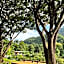 Villa De View