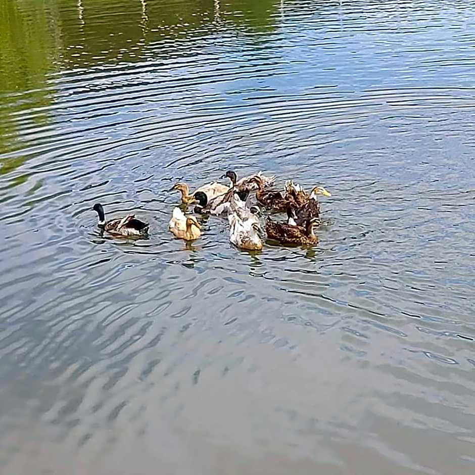 Park Hotel Eagle Stone