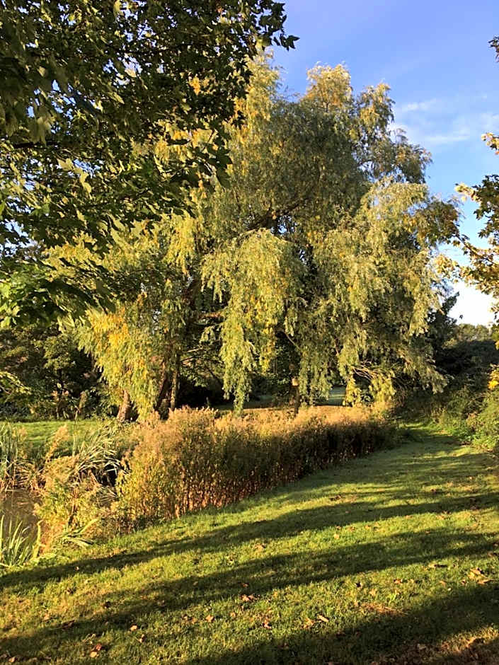 Sturmer Hall Hotel and Conference Centre