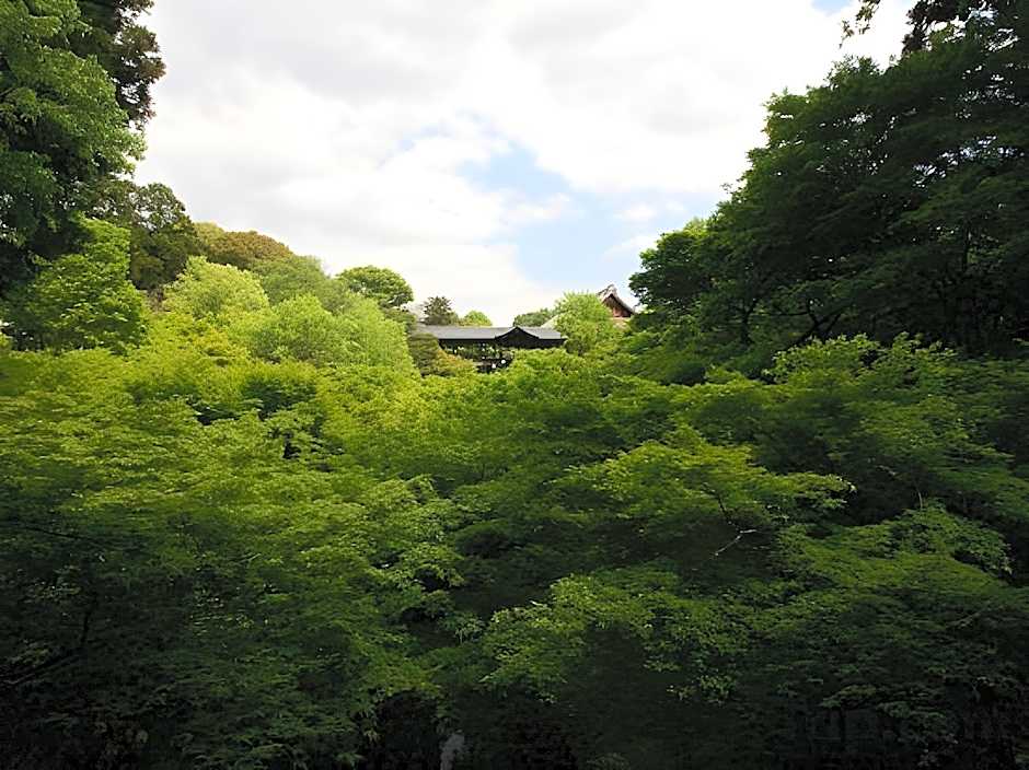 HARUYA Naramachi