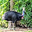 BIG4 Tasman Holiday Parks - South Mission Beach