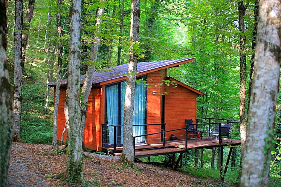 Eco Village In The Forest