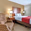 Comfort Inn & Suites Rapid City