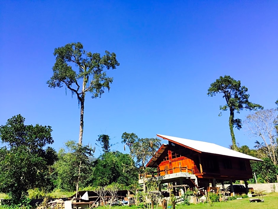 Chiang Dao Hut