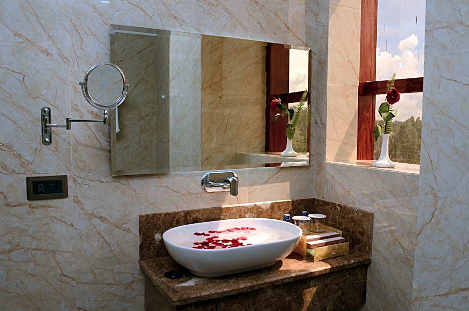 The White Rhino Hotel