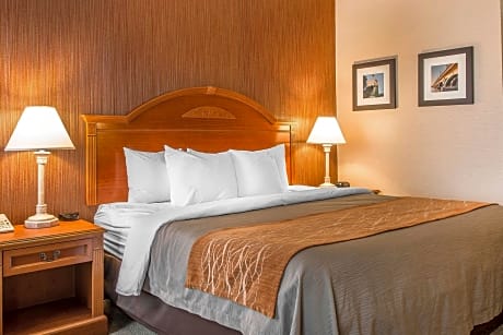 1 King Bed, Nonsmoking, Accessible