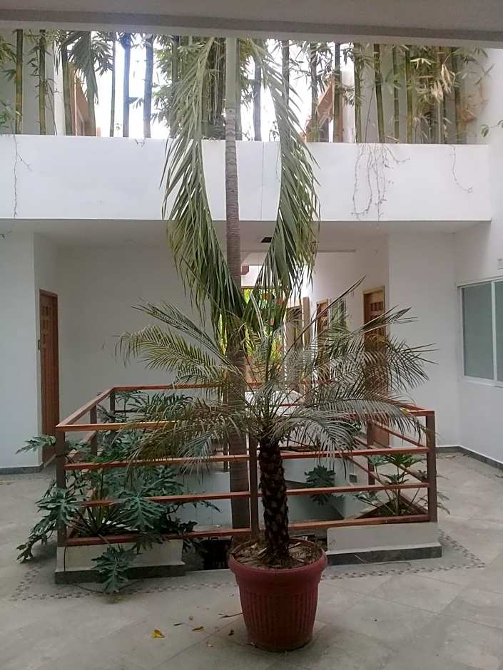 Palmas de Chahue