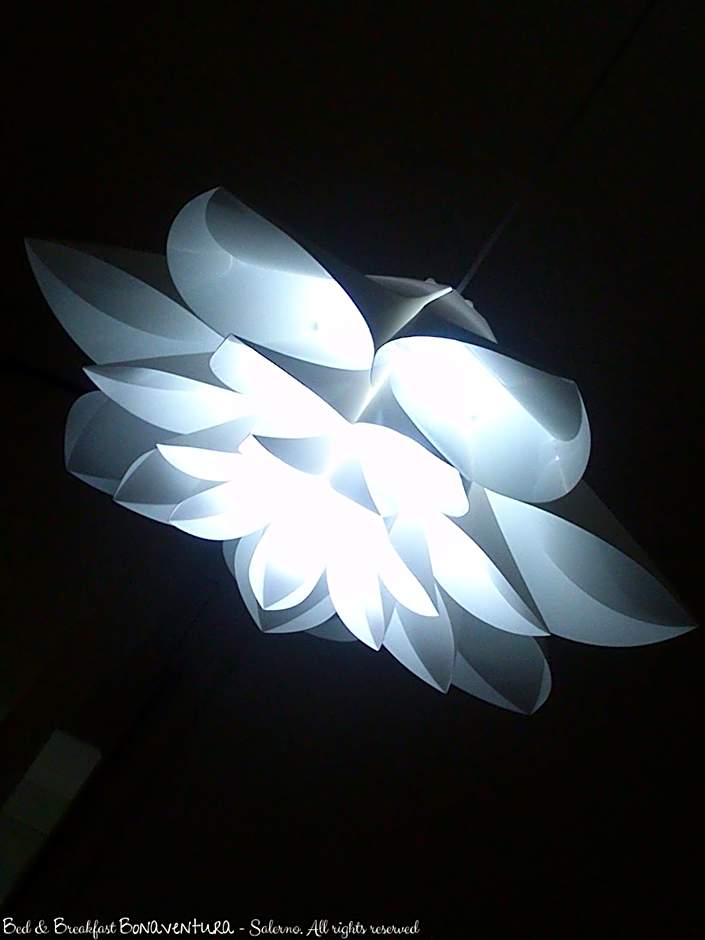 Bed & Breakfast Bonaventura