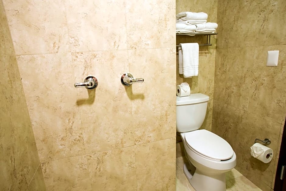 Hotel Plaza Calzada
