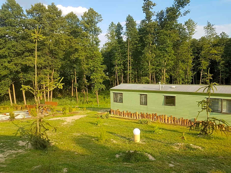 Agroturystyka Perła Gaju