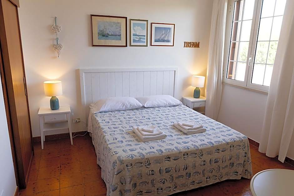 B&B Cavalieri
