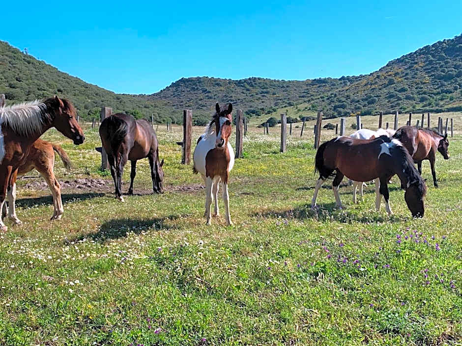 Residence Hotel Monte Ricciu