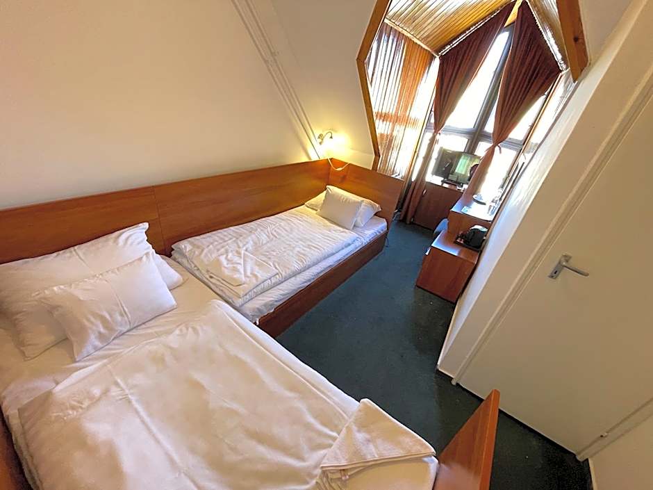Hotel Főnix