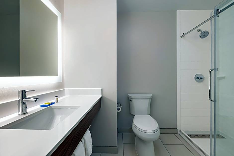 Holiday Inn Express Hotel & Suites Opelika Auburn By IHG