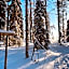 Skyfire Village Igloos