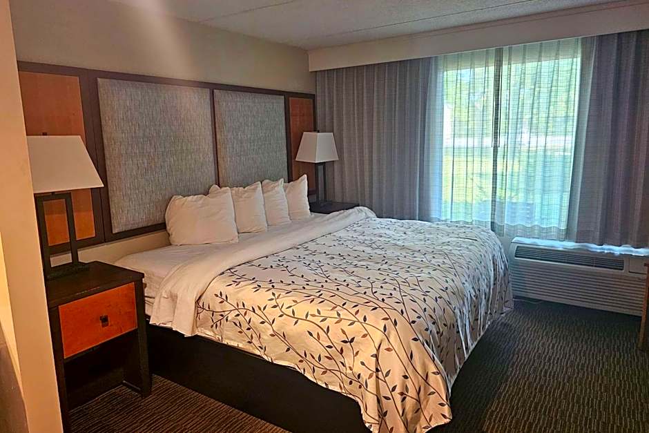 Americinn by Wyndham Birch Run/Frankenmuth
