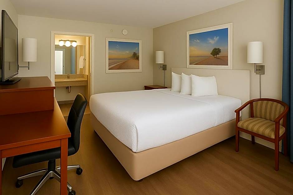 1 King Bed — 4 fotoğraftan 1. fotoğraf