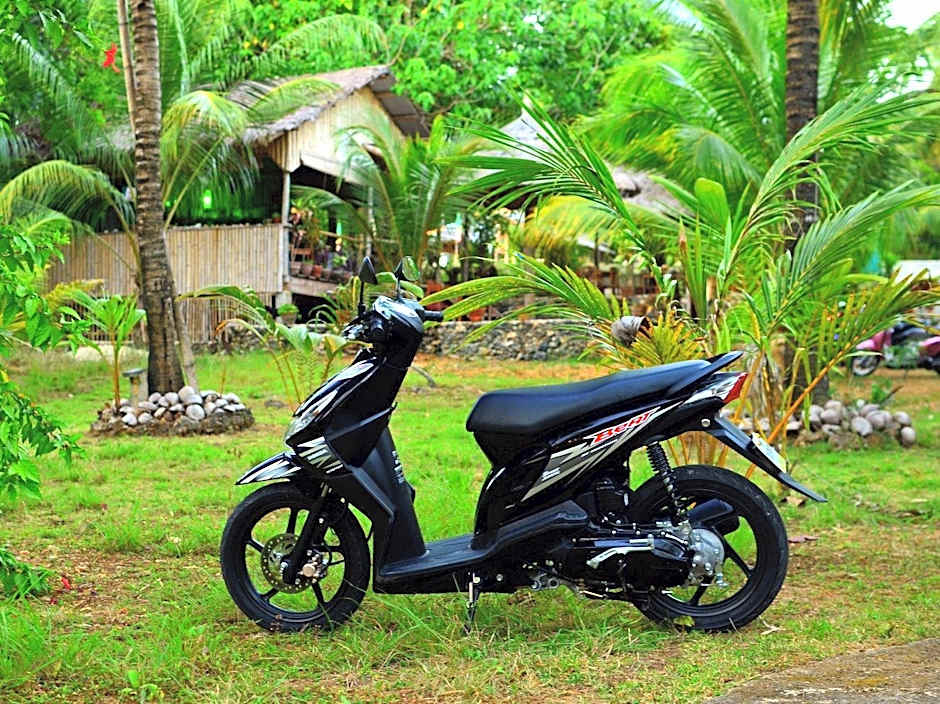 Toris Backpackers Paradise