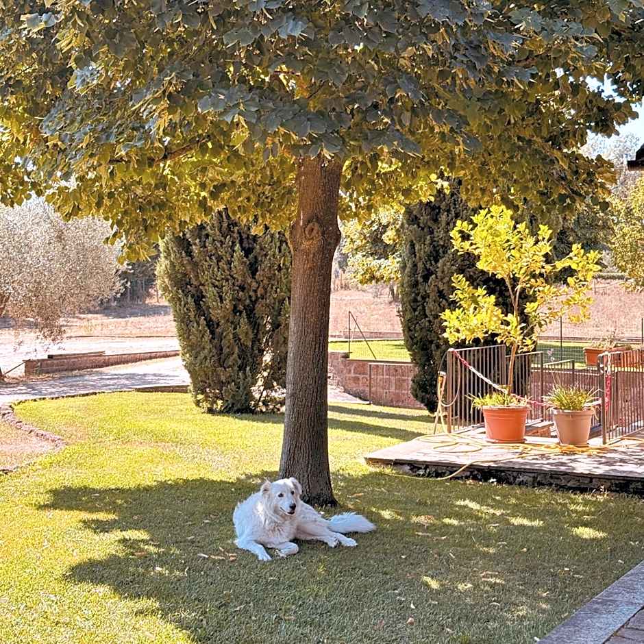 Oasi Del Verde