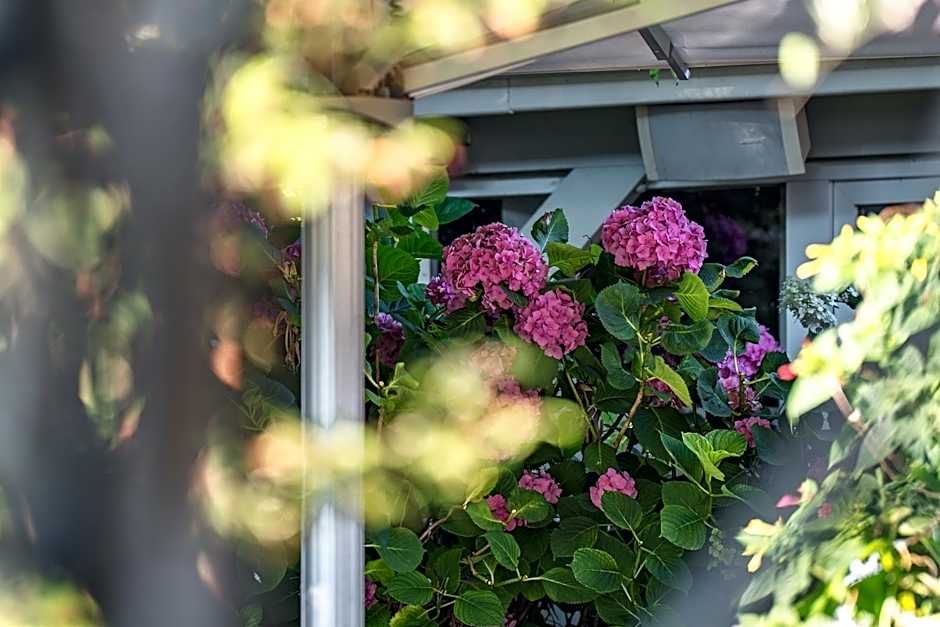 Best Western Hotel Acadie Paris Nord Villepinte