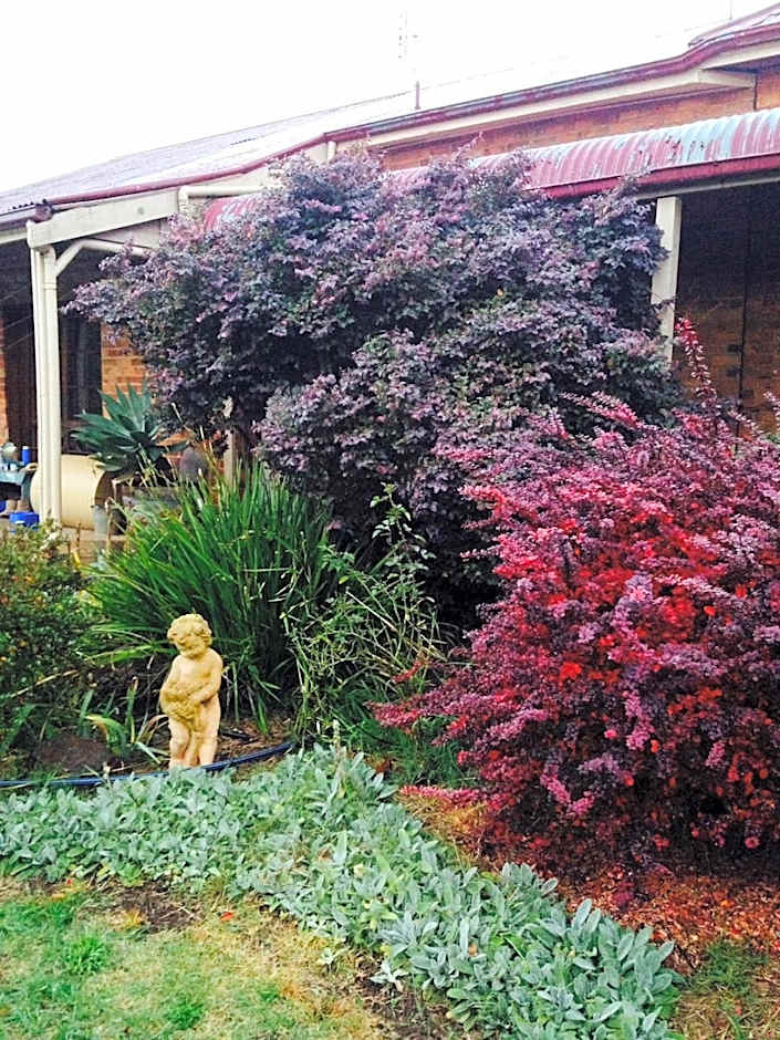 Pierrepoint Accommodation