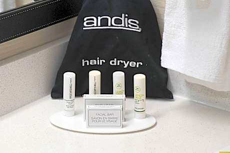 Studio, 1 King Bed with Sofa bed (1 King Bed and 1 Double Sofa Bed)