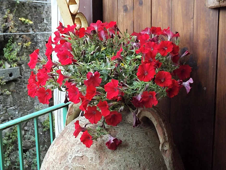 Albergo Diffuso Borgo Santa Caterina