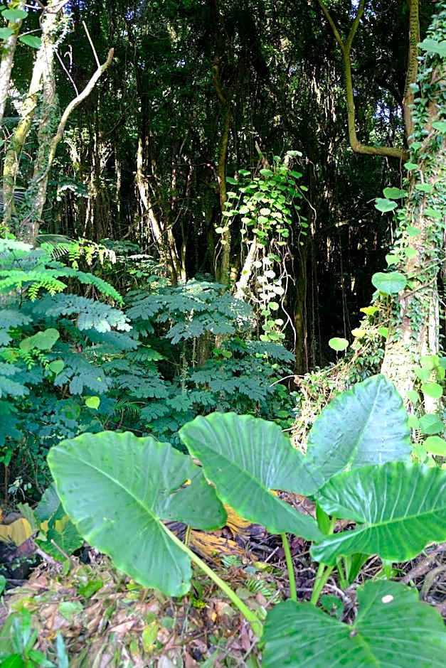 La Residence Villas & Studios