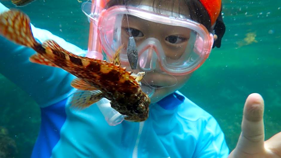 湖上館パムコ