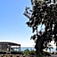 In Riva al Mare