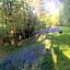 Belan Bluebell Woods Shepherds Hut
