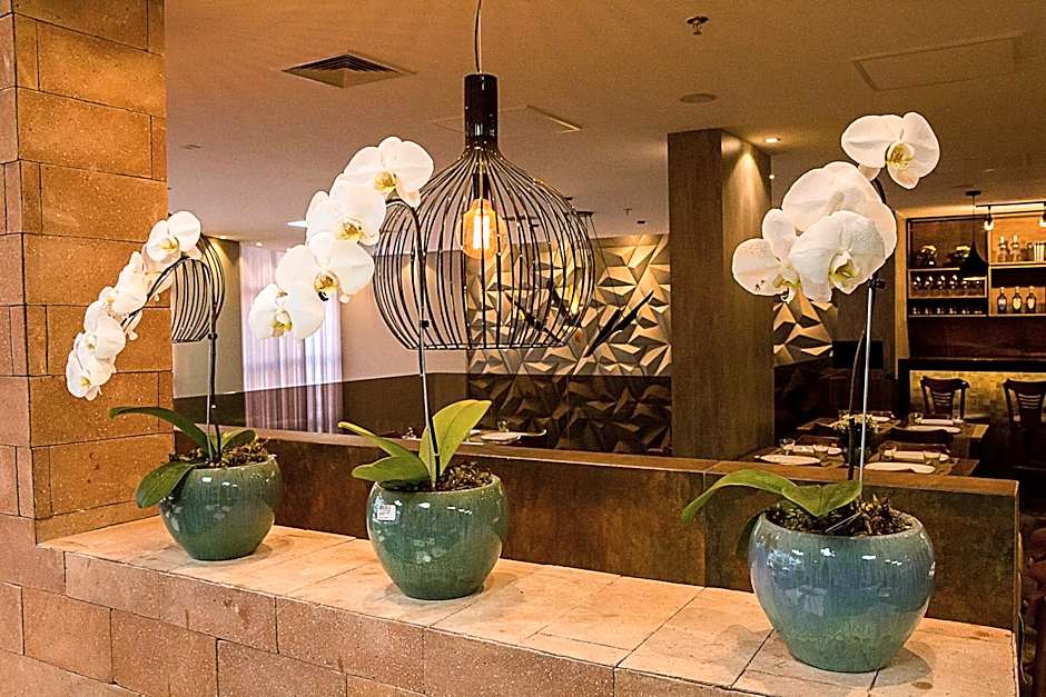 Bristol Viçosa Hotel