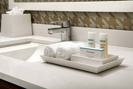 2Queen Accessible Roll In Shower Studio Nosmk
